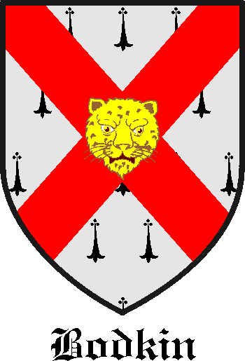 BODKIN family crest BODKIN family crest